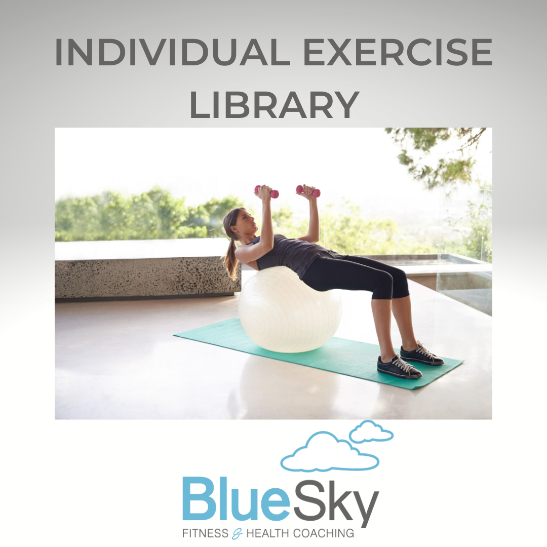 Individual Exercise Library
